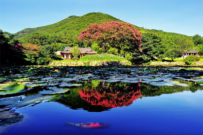운림명승지구