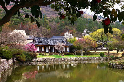 진도 운림산방(국가 명승)